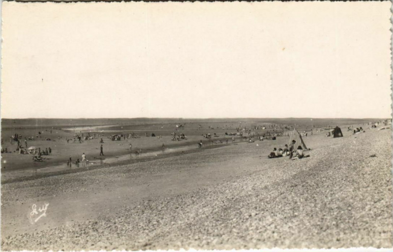 Carte postale ancienne Cayeux-sur-Mer La Plage a marée basse à Cayeux-sur-Mer
