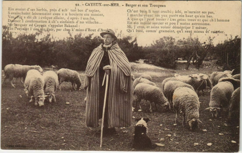 Carte postale ancienne Cayeux-sur-Mer Berger et son Troupeau à Cayeux-sur-Mer