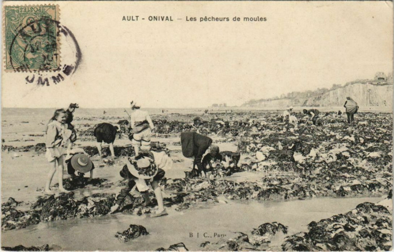 Carte postale ancienne Ault Pecheurs de moules à Ault