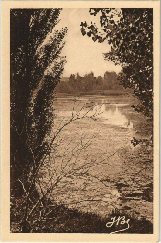 Carte postale ancienne Peronne Autour du Cam à Péronne