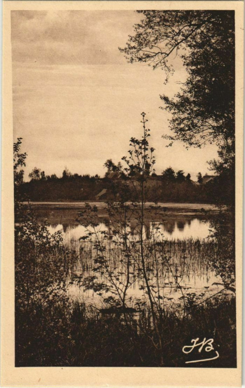 Carte postale ancienne Peronne Autour du Cam à Péronne