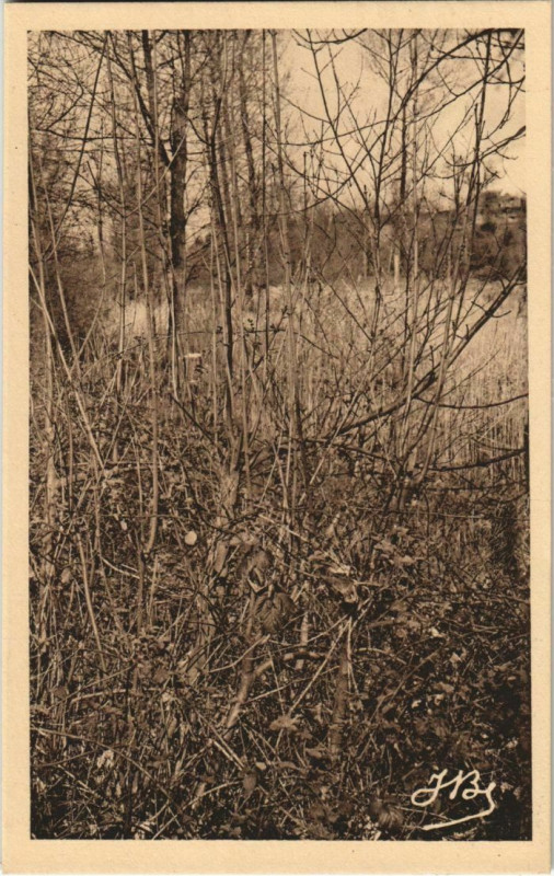 Carte postale ancienne Peronne Autour du Cam à Péronne