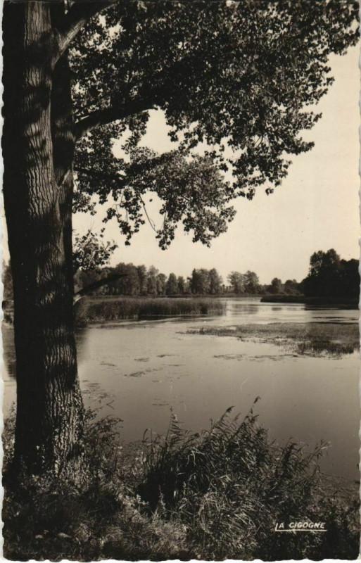 Carte postale ancienne Peronne Les étangs à Péronne