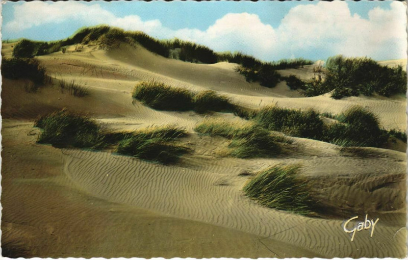 Carte postale ancienne Brighton Cayeux-sur-Mer Molliere Les Dunes à Cayeux-sur-Mer