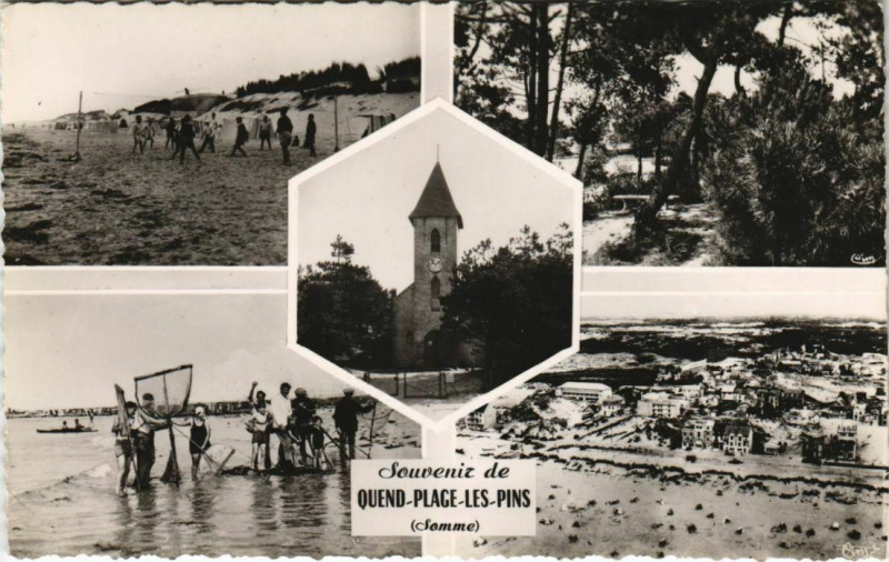 Carte postale ancienne Souvenir de Quend-Plage-Les-Pins à Quend