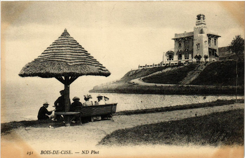 Carte postale ancienne Bois de-Cise