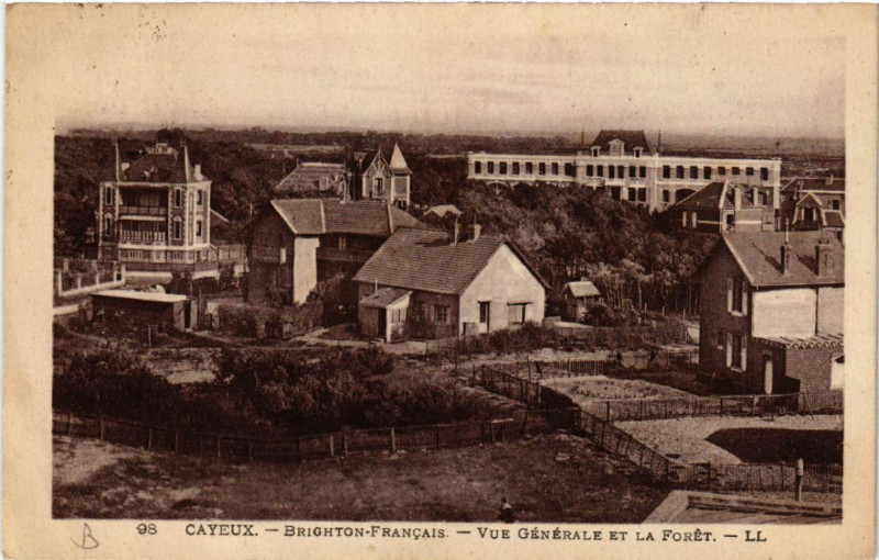 Carte postale ancienne Cayeux - Brighton-Francais - Vue générale et la Foret à Y