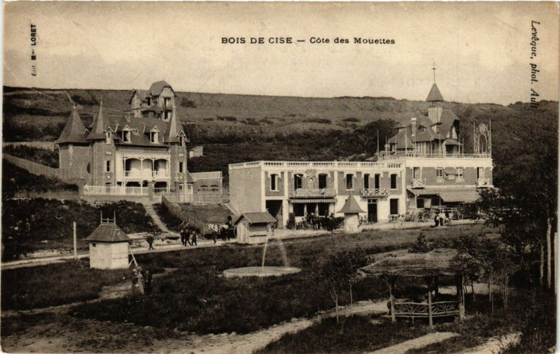 Carte postale ancienne Bois-de-Cise - Cote des Mouettes