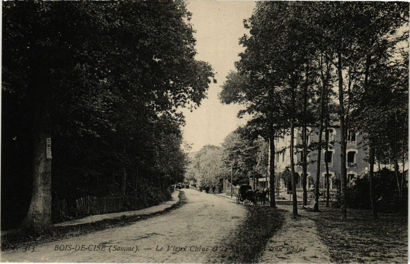 Carte postale ancienne Bois-de-Cise - Le Vieux Chene et La Roide