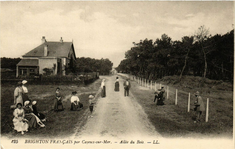 Carte postale ancienne Brighton Francais par Cayeux-sur-Mer - Allée du Bois à Cayeux-sur-Mer