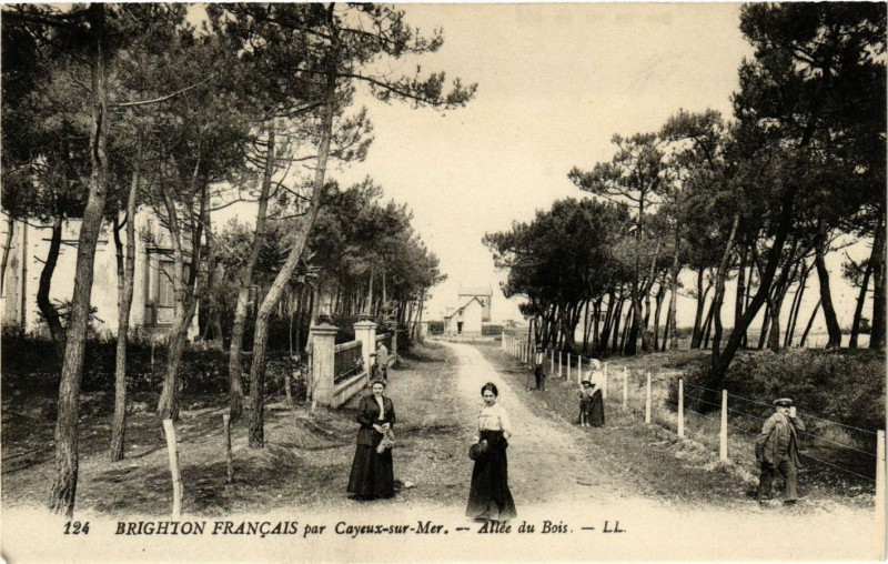 Carte postale ancienne Brighton Francais par Cayeux-sur-Mer - Allée du Bois à Cayeux-sur-Mer