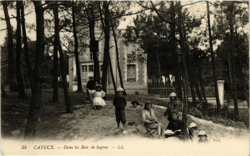 Carte postale ancienne Cayeux - Dans les Bois de Sapins à Y