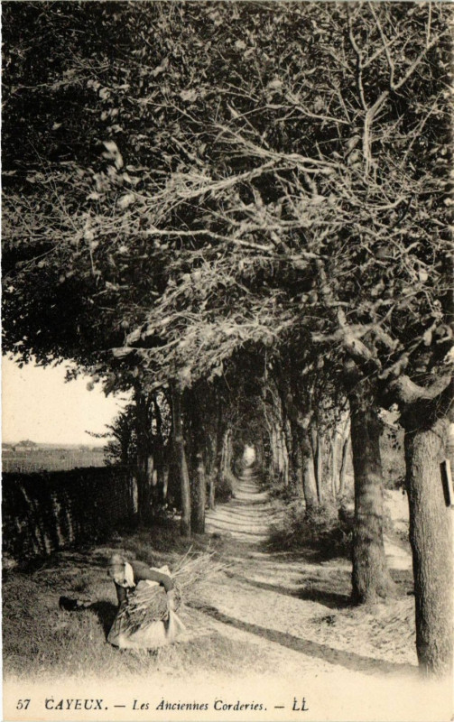 Carte postale ancienne Cayeux - Les Anciennes Corderies à Y