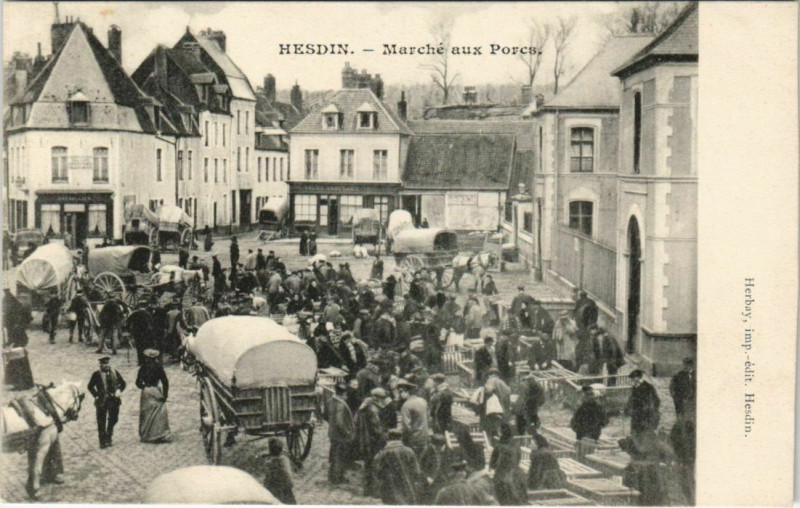 Carte postale ancienne Hesdin Marché aux Porcs à Hesdin