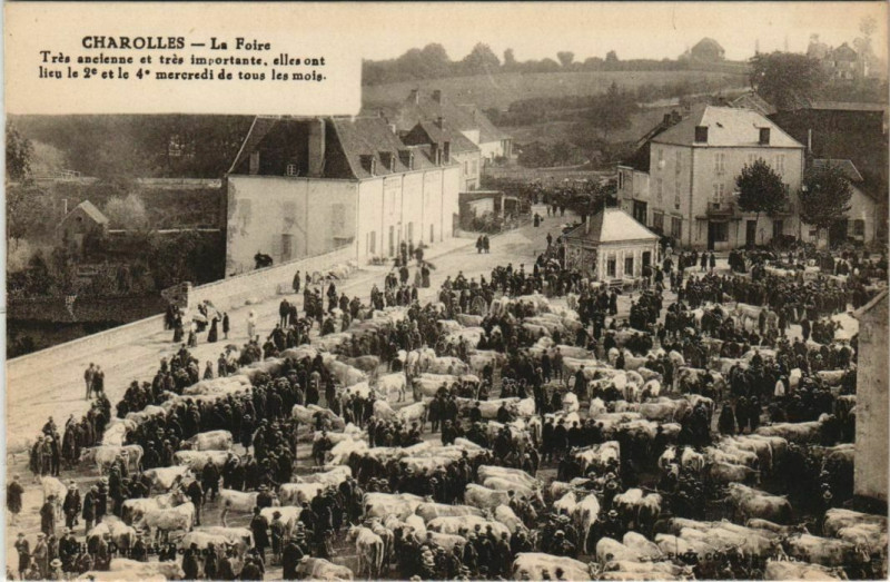 Carte postale ancienne Charolles La Foire à Charolles