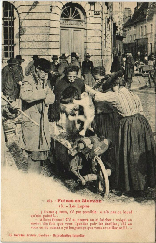 Carte postale ancienne Foires en Morvan - Les Lapins