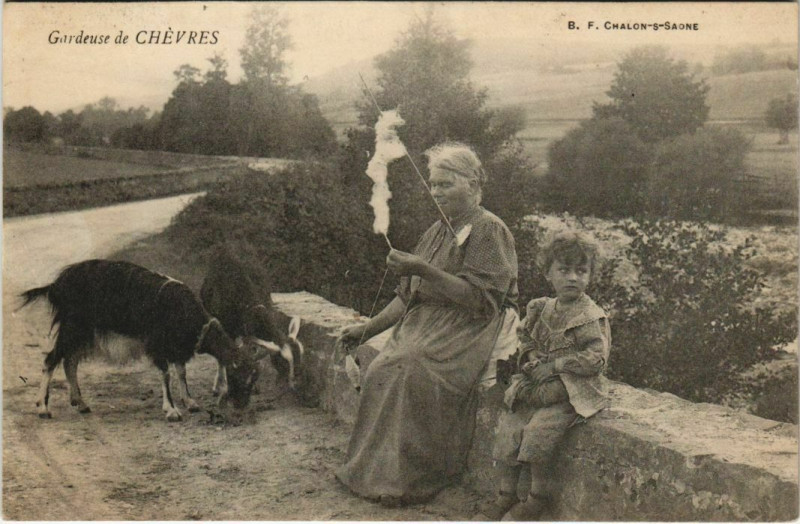 Carte postale ancienne Gardeuse de Chevres