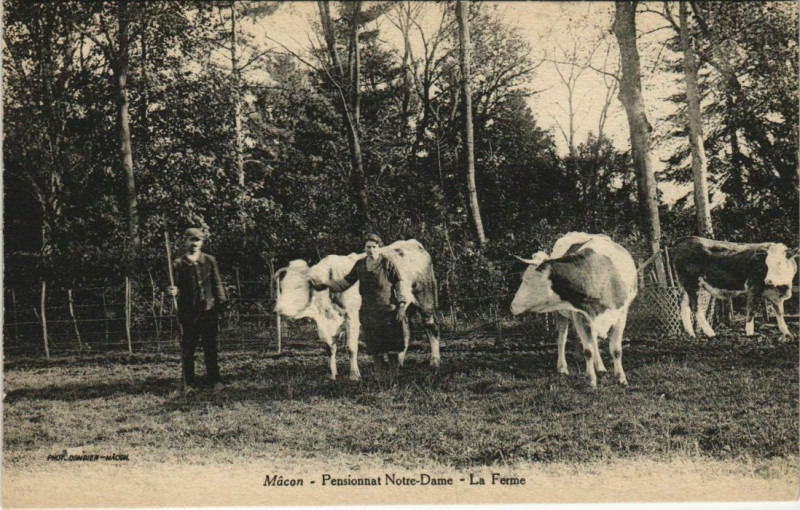 Carte postale ancienne Macon Pensionnat Notre-Dame - La Ferme