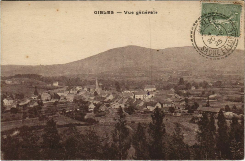 Carte postale ancienne Gibles Vue Generale à Gibles
