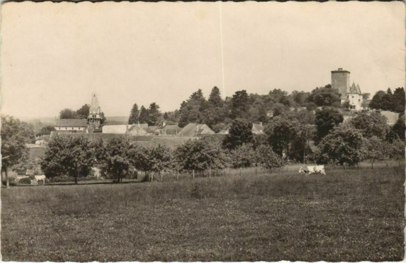 Carte postale ancienne Beaujeu Vue Generale et la Tour