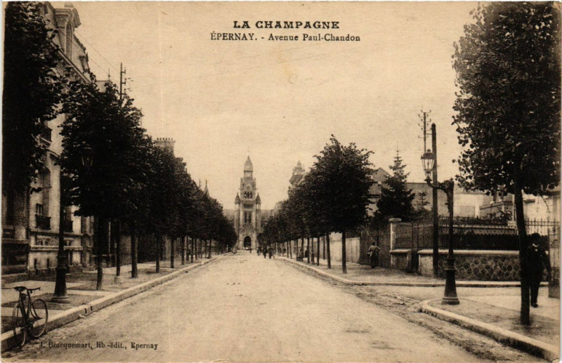 Carte postale ancienne La Campagne - Epernay - Avenue Paul-Chandon à Épernay