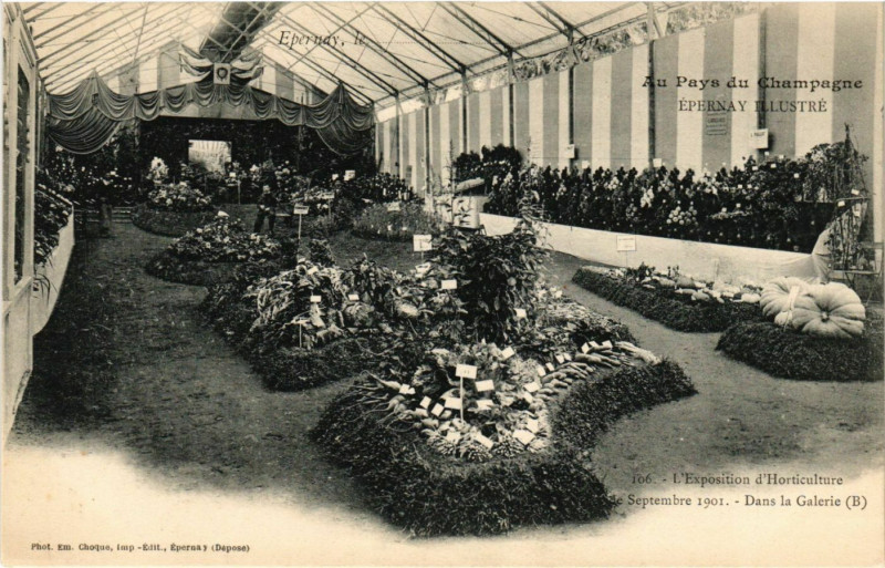 Carte postale ancienne Epernay Illustré - L'Exposition d'Horticulture à Épernay