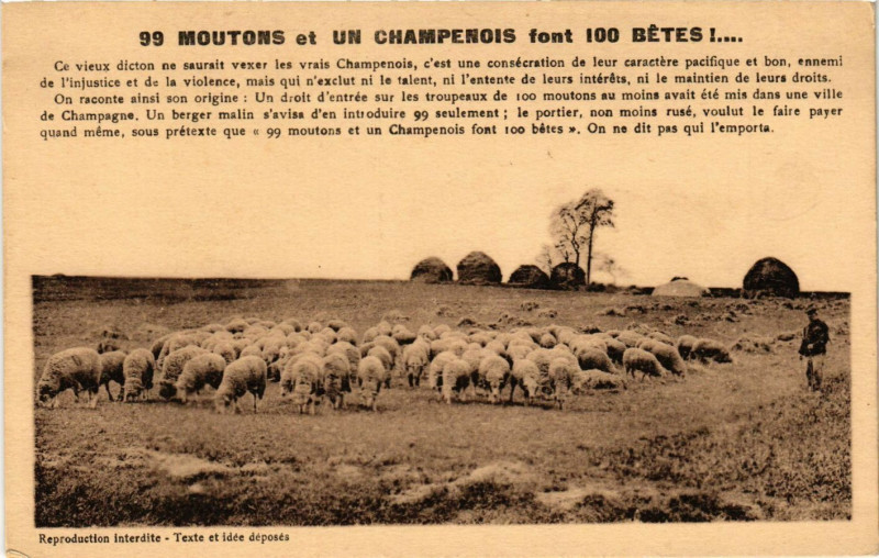 Carte postale ancienne 99 Moutons et un Champenois font 100 bêtes