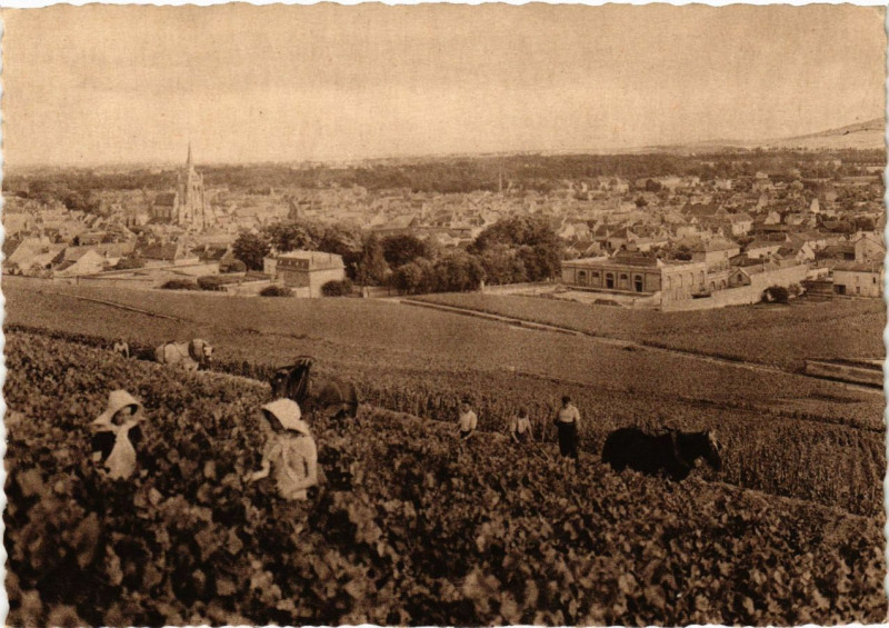 Carte postale ancienne Champagne Pommery & Greno - Reims - Ay - Vue générale Premier cru à Reims