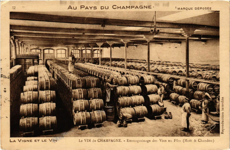 Carte postale ancienne La Vigne et le Vin - Le Vin de Champagne