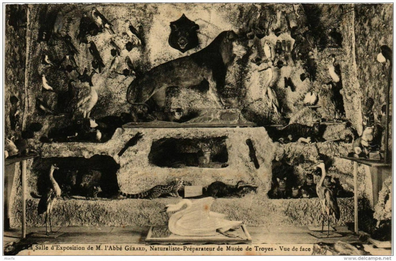 Carte postale ancienne Troyes La Salle d'Expos. de M. l'Abbé Gérard à Troyes