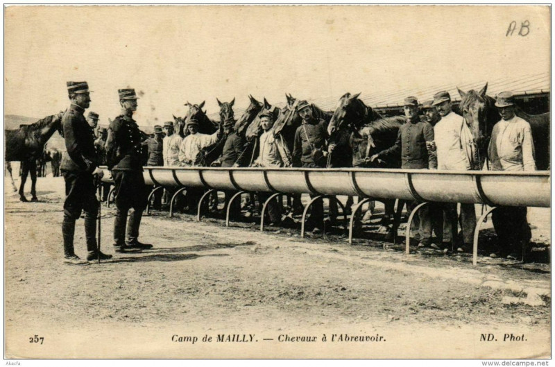 Carte postale ancienne Camp de Mailly Chevaux a l'Abreuvoir
