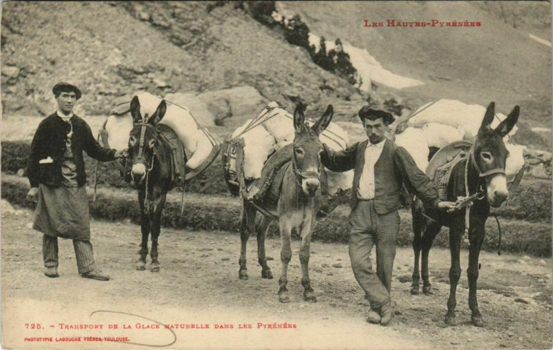 Carte postale ancienne Transport de la Galce Naturelle dans les Pyrénées