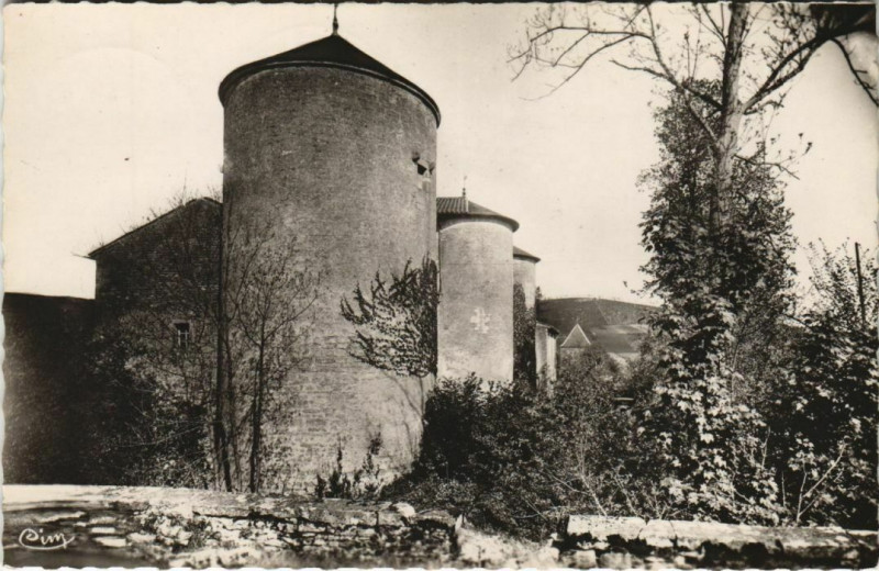 Carte postale ancienne Ige Le Chateau