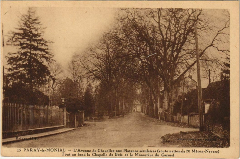Carte postale ancienne Paray-le-Monial L'Avenue de Charolles aux Platanes Seculaires à Charolles