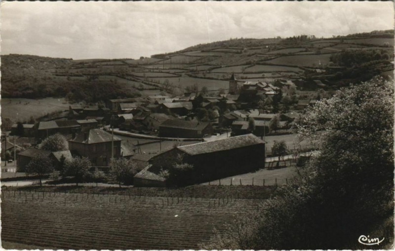 Carte postale ancienne Donzy-le-Perthus Vue Generale