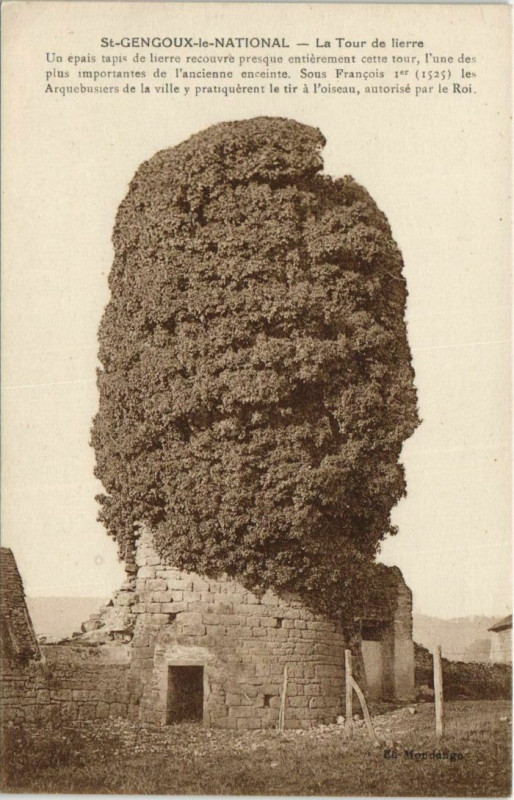 Carte postale ancienne Saint-Gengoux-le-National La Tour de Lierre à Saint-Gengoux-le-National