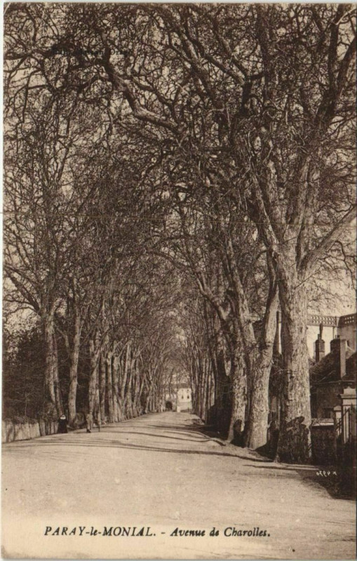 Carte postale ancienne Paray-le-Monial Avenue du Charolles à Charolles
