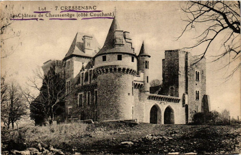 Carte postale ancienne Cressensac Le Chateau de Chaussenége