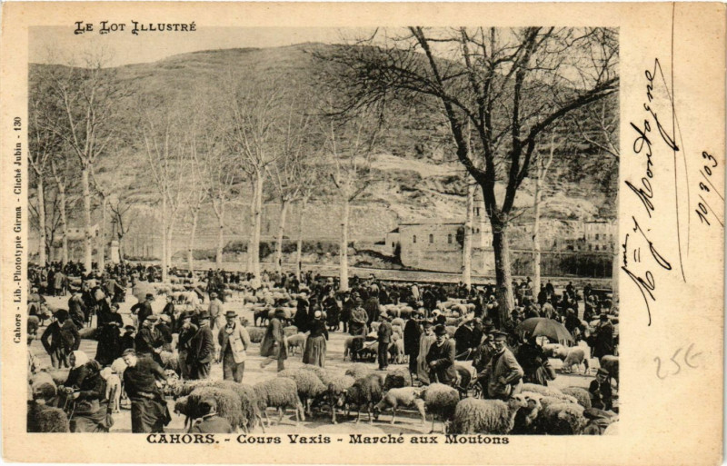Carte postale ancienne Cours Vaxis - Marché aux Moutons à Cahors