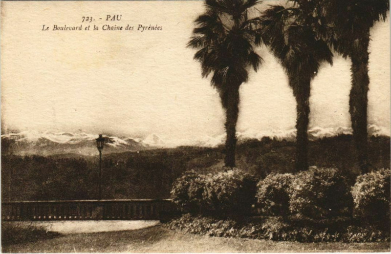 Carte postale ancienne Pau Boulevard et la Chaine des Pyrenees France à Pau