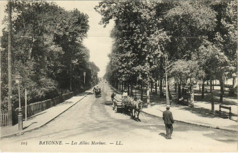 Carte postale ancienne Bayonne Les Allees Marines France à Bayonne