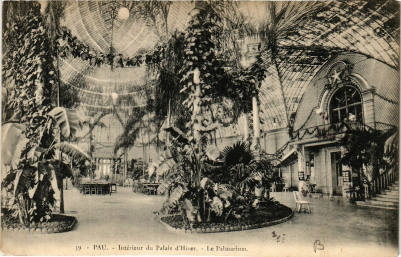 Carte postale ancienne Pau Interieur du Palais d'Hiver-Le Palmarium à Pau