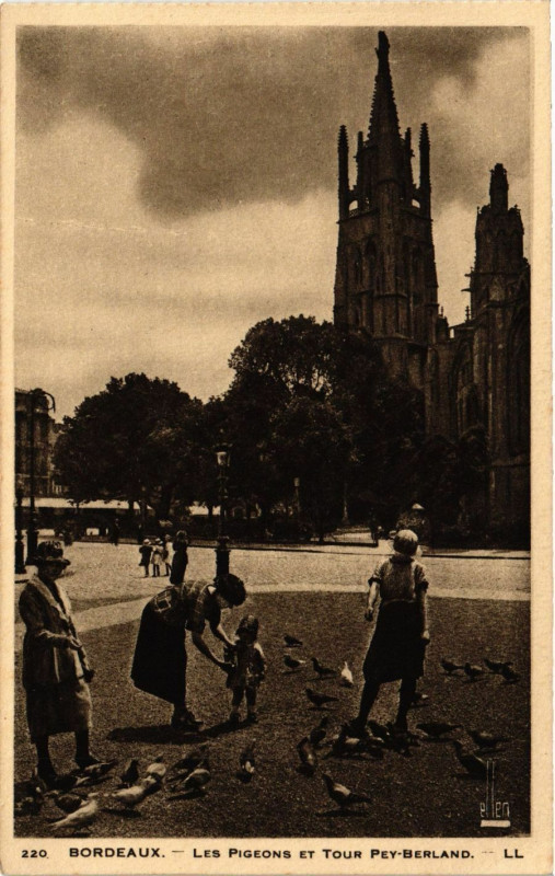Carte postale ancienne Bordeaux - Les Pigeons et Tour Pey-Berland à Bordeaux