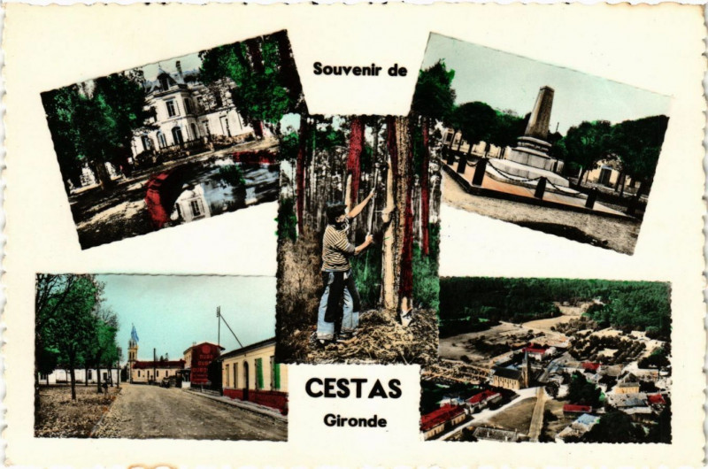 Carte postale ancienne Souvenir de Cestas - Gironde à Cestas