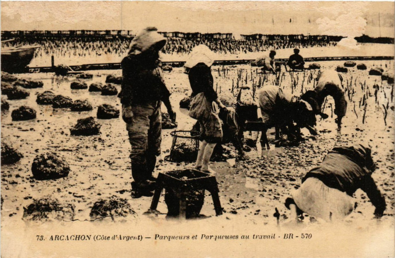 Carte postale ancienne Arcachon - Parqueurs et Parqueuses au travail à Arcachon