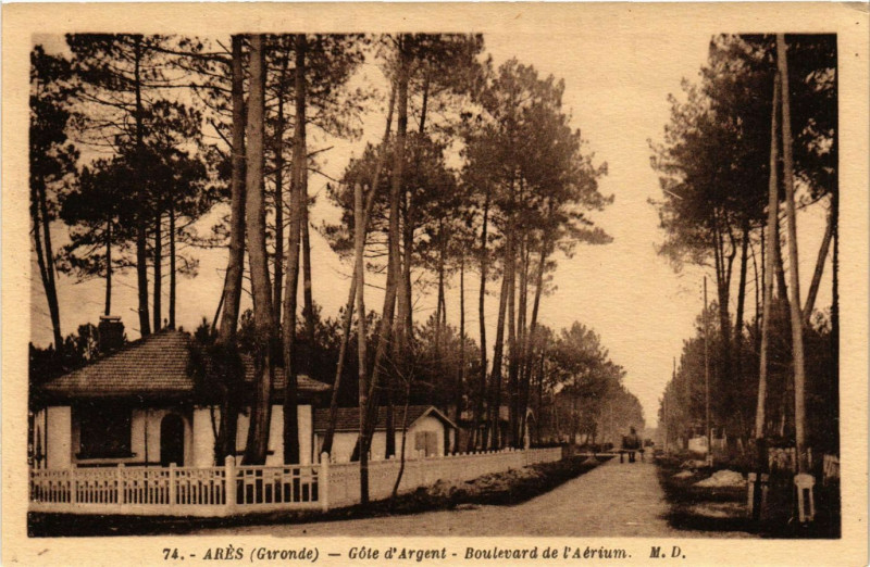Carte postale ancienne Ares - Cote d'Argent - Boulevard de l'Aerium à Arès