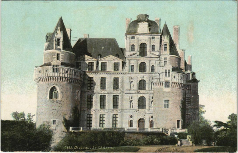 Carte postale ancienne Brissac Le Chateau