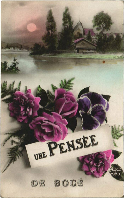 Carte postale ancienne Une Pensee De Boce