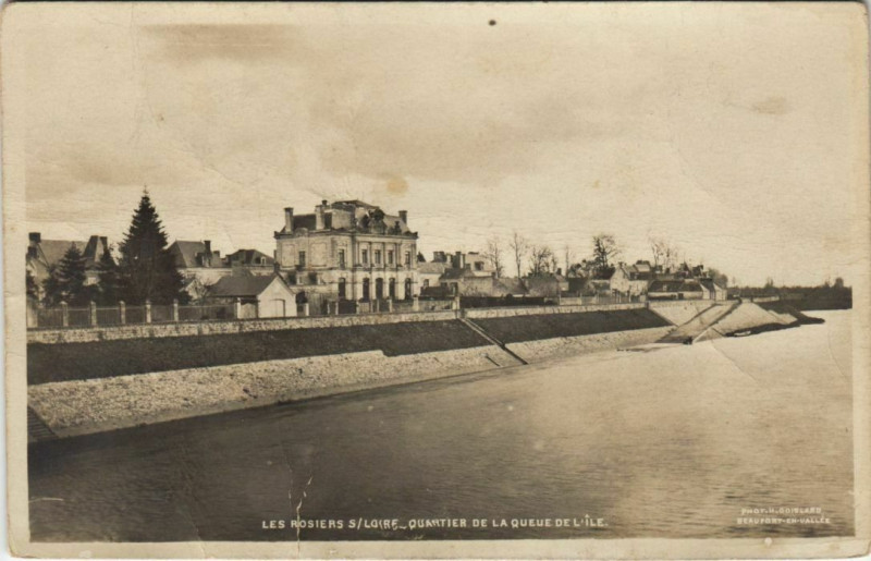 Carte postale ancienne Les Rosiers S Loire-Quartier De La Queue De L'Ile
