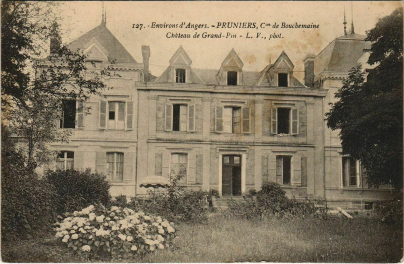 Carte postale ancienne Environs d'Angers Pruniers à Angers